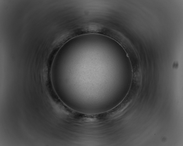 X0000101960552200807181043