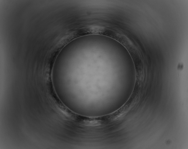 X0000101960553200807181043