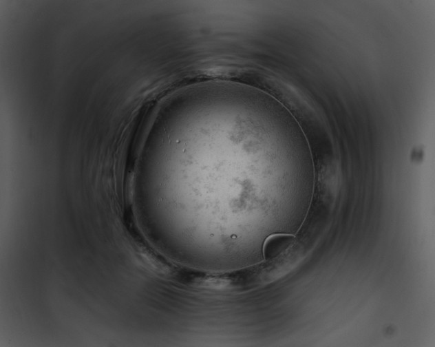 X0000101960554200807181043