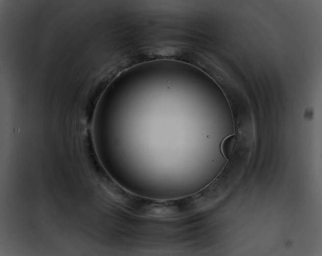 X0000101960555200807181043