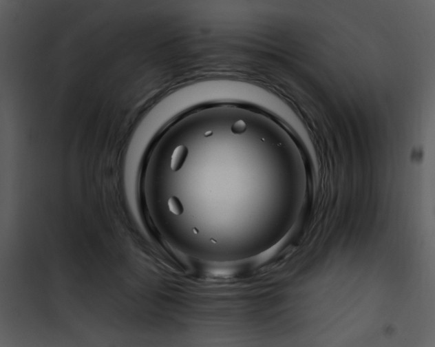 X0000101960556200807181043