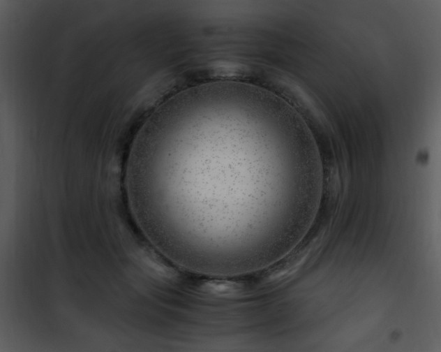 X0000101960557200807181043