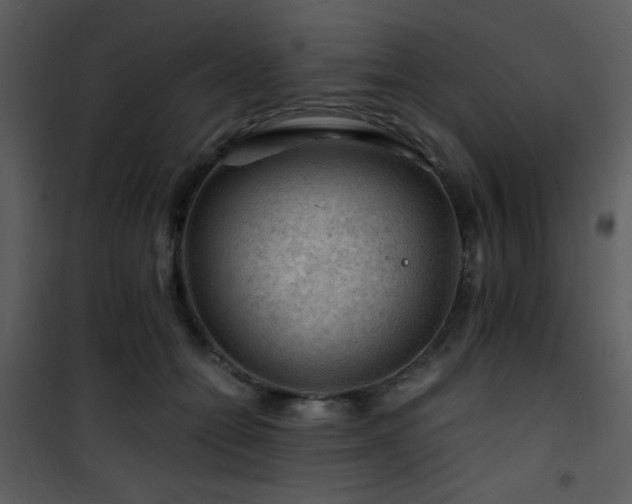 X0000101960558200807181043