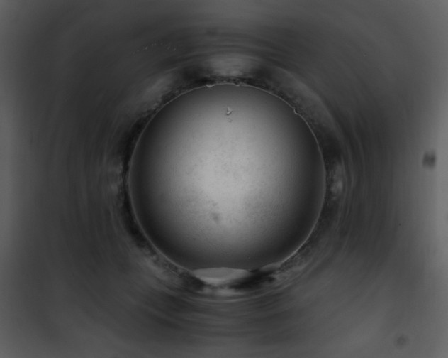 X0000101960559200807181043