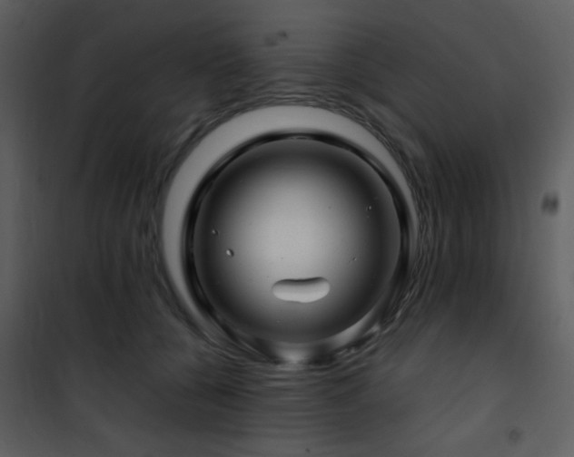 X0000101960560200807181043