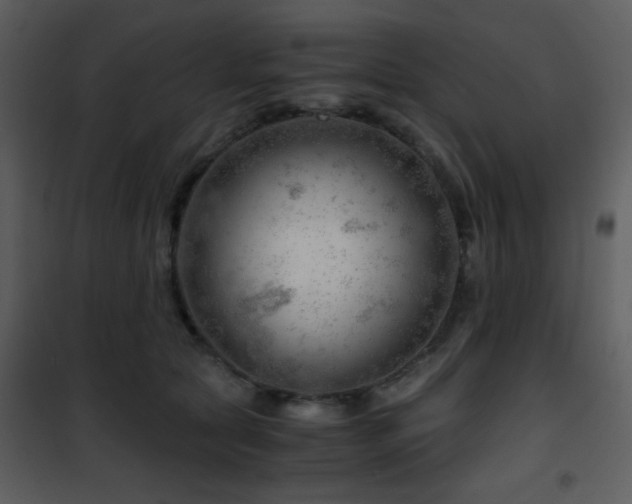 X0000101960561200807181043