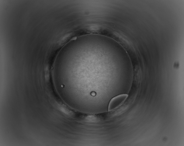 X0000101960562200807181043