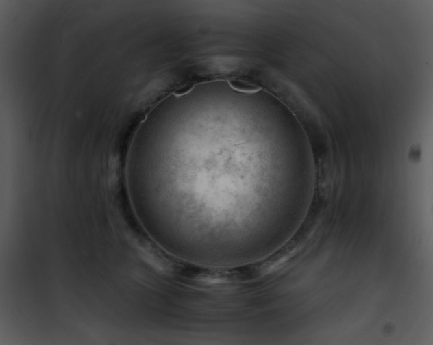 X0000101960563200807181043