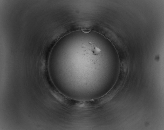 X0000101960564200807181043