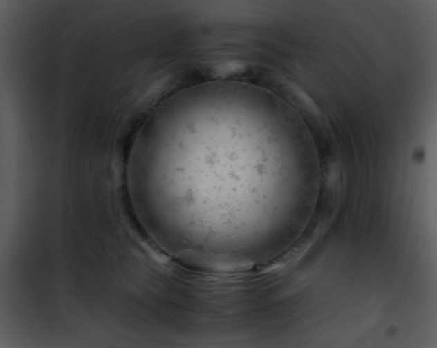 X0000101960565200807181043