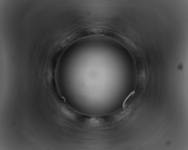 X0000101960566200807181043