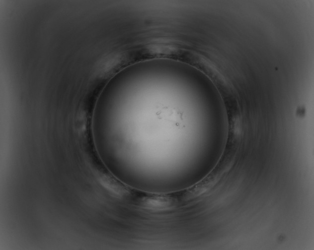 X0000101960567200807181043