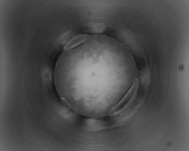 X0000101960568200807181043