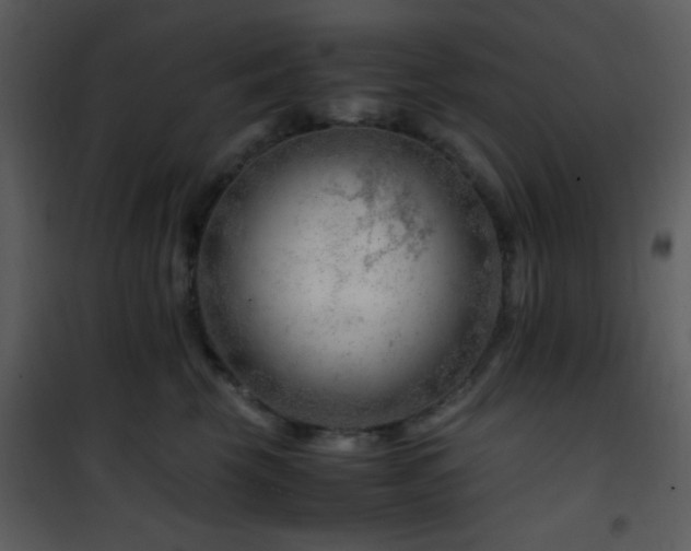 X0000101960569200807181043