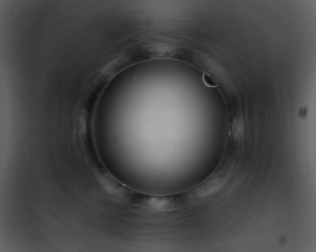 X0000101960570200807181043
