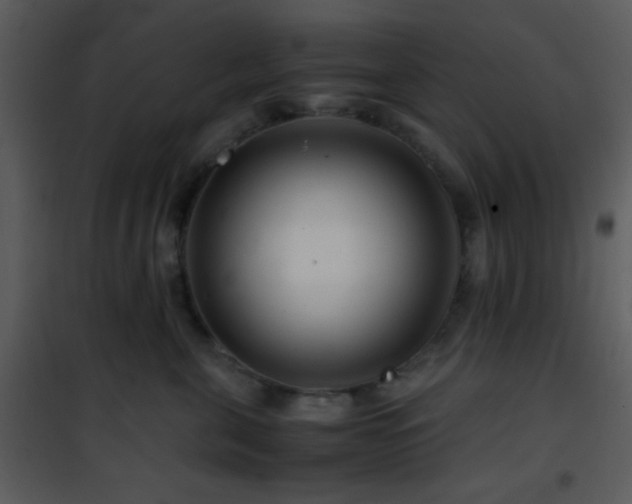 X0000101960571200807181043