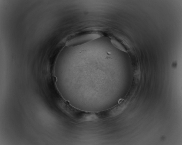 X0000101960572200807181043