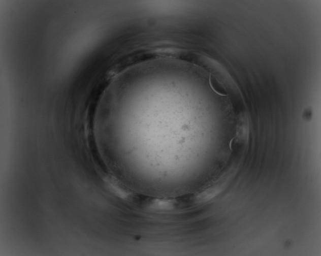 X0000101960573200807181043