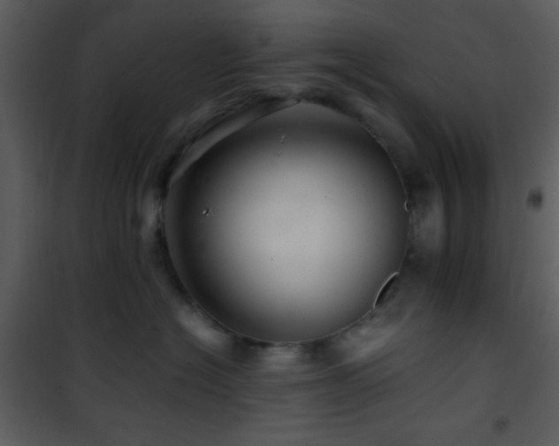 X0000101960574200807181043
