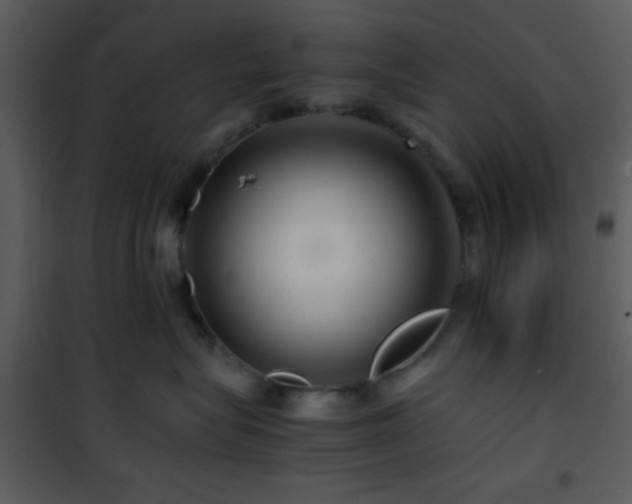 X0000101960575200807181043