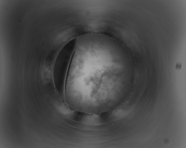 X0000101960576200807181043