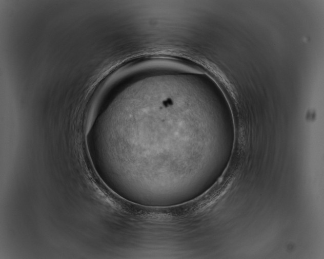 X0000101960577200807181043