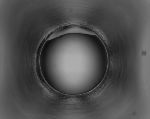 X0000101960578200807181043