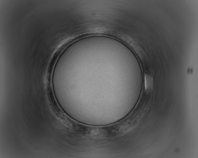X0000101960579200807181043