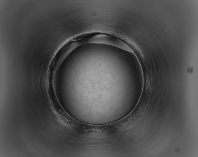X0000101960580200807181043