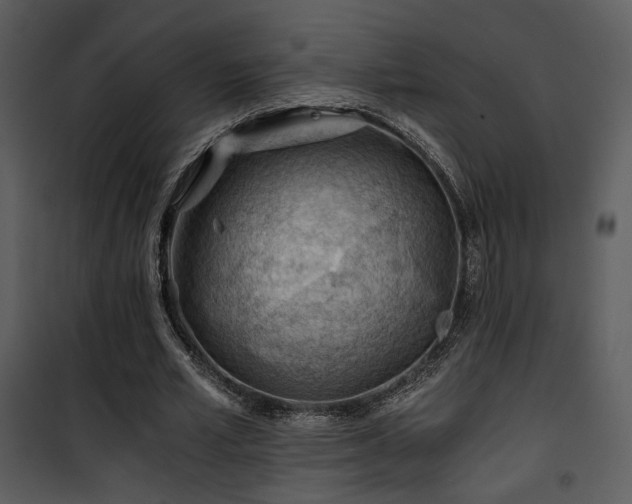 X0000101960581200807181043