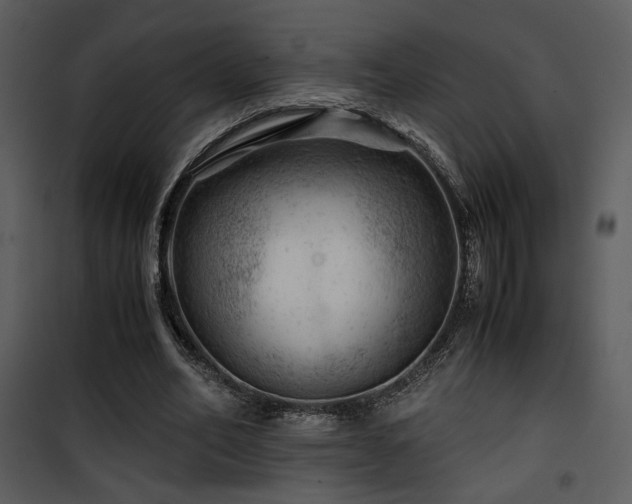 X0000101960582200807181043
