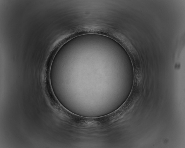 X0000101960583200807181043