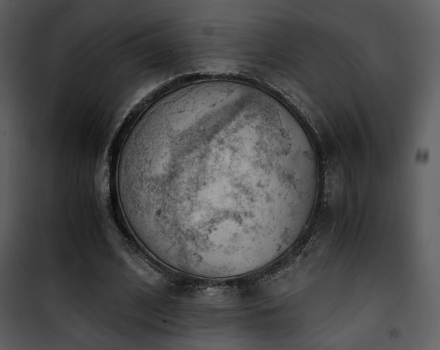 X0000101960584200807181043