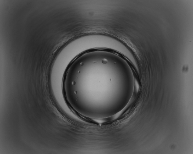 X0000101960585200807181043