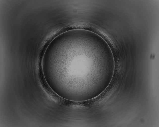 X0000101960586200807181043
