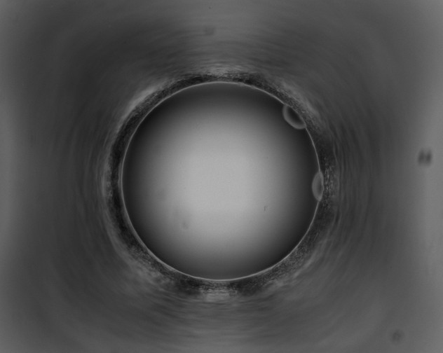 X0000101960587200807181043