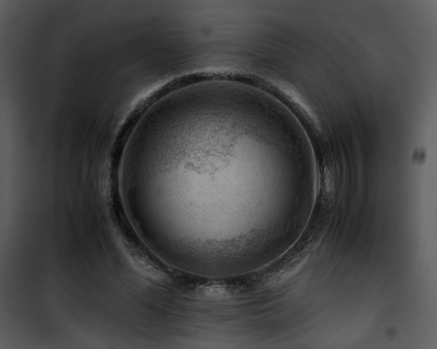X0000101960588200807181042