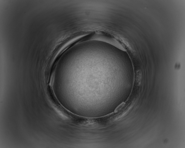 X0000101960589200807181042