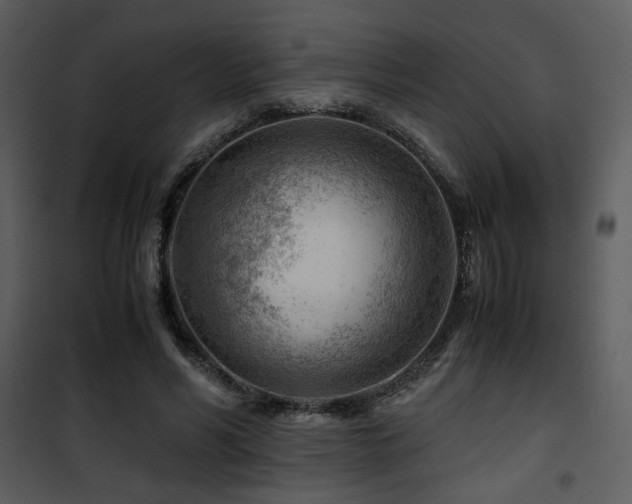 X0000101960590200807181042