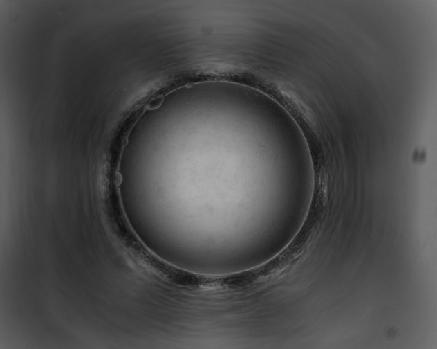 X0000101960591200807181042