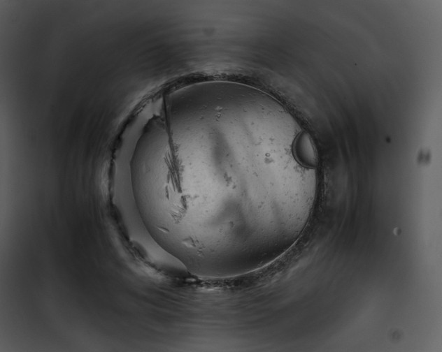 X0000101960592200807181042