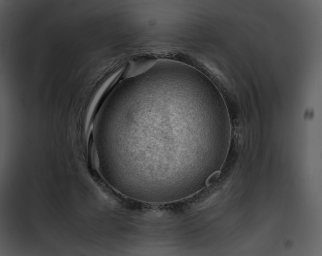 X0000101960593200807181042