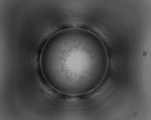 X0000101960594200807181042