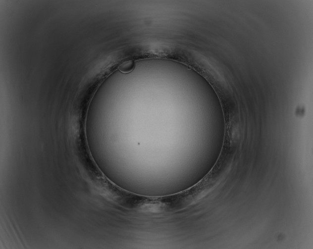 X0000101960595200807181042