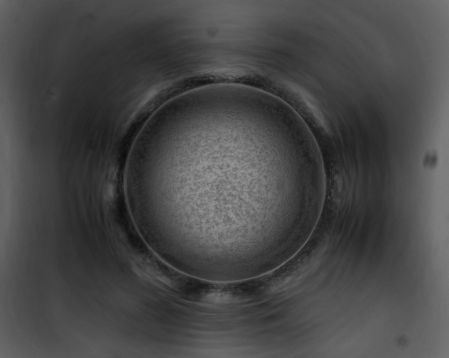 X0000101960596200807181042