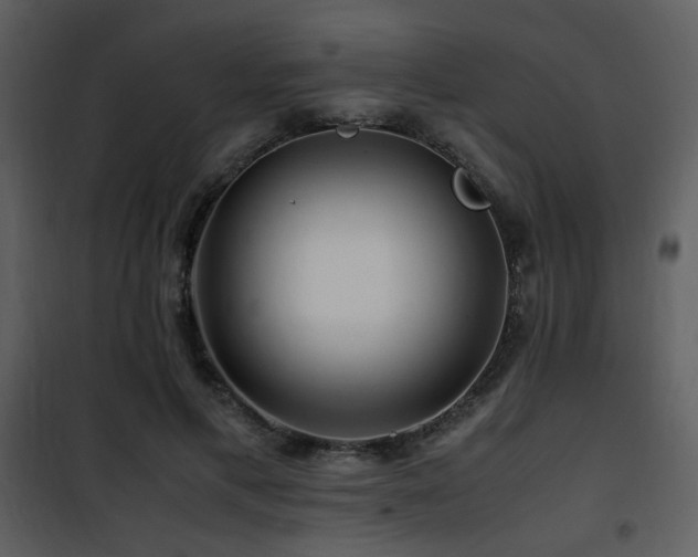 X0000101960597200807181042