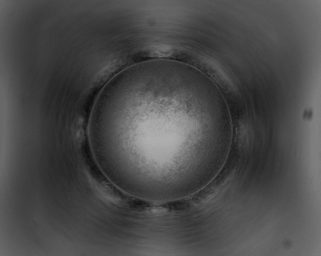 X0000101960598200807181042