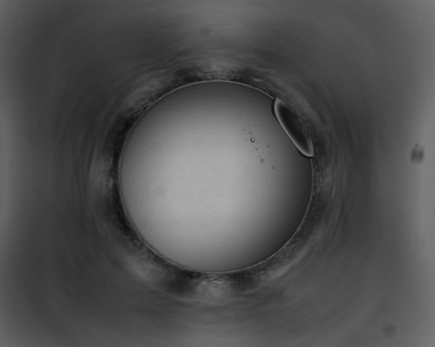 X0000101960599200807181042