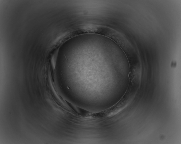 X0000101960600200807181042