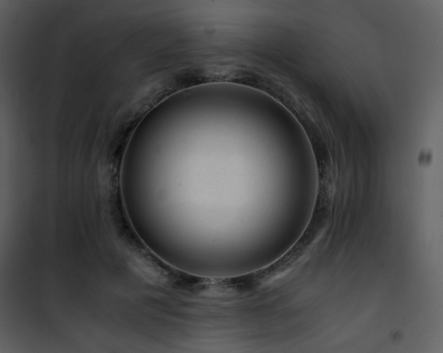 X0000101960601200807181042